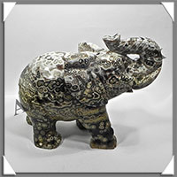 ELEPHANT - JASPE ORBICULAIRE - 160x115x75 mm - 1 310 grammes - A002