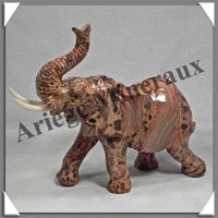 ELEPHANT - LEOPARDITE (Jaspe Lopard) - 155x140x55 mm - 620 grammes - A002