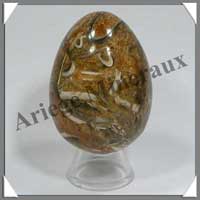 AMMONITE FOSSILE - Oeuf - 68 mm - 215 grammes - R001