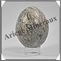 FOSSILE - Oeuf - 65x50 mm - 234 grammes - M001