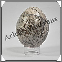 FOSSILE - Oeuf - 65x50 mm - 245 grammes - M004
