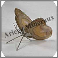 AGATE MARRON - Papillon (Taille 1) - 70x45 mm - 42 grammes - M011