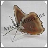 AGATE MARRON - Papillon (Taille 2) - 75x50 mm - 47 grammes - M010