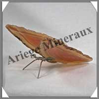 AGATE MARRON - Papillon (Taille 3) - 125x45 mm - 78 grammes - M010