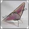 AGATE VIOLETTE - Papillon (Taille 3) - 120x45 mm - 57 grammes - M010 Brésil